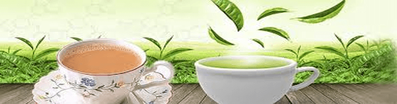 zayan-enterprises-pakistan-brand.png